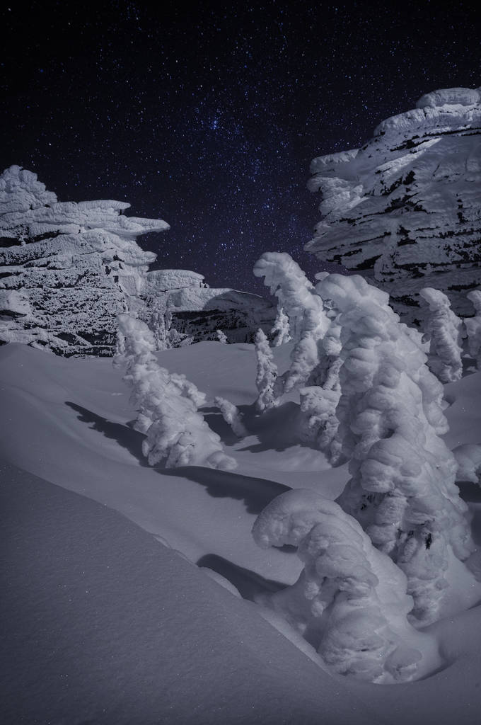 Night guards guard the peace. Winter landscape - Photo, Image