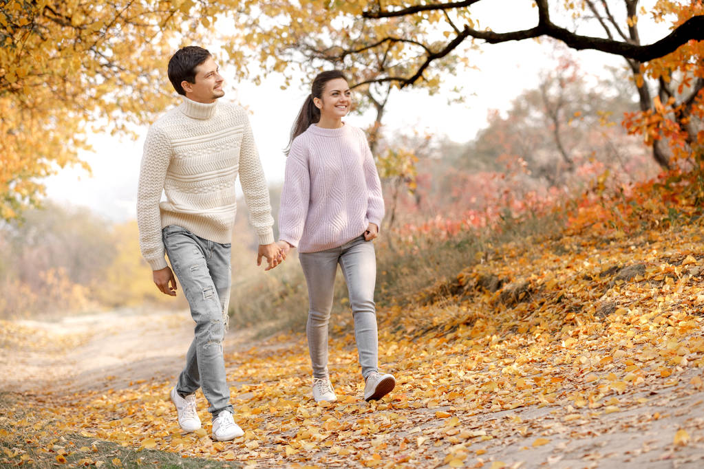Couple in love in the autumn leaves - Photo, Image
