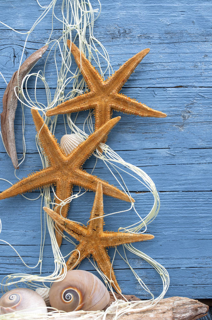 Maritime Decoration with shells, starfish, sailing ship, fishing net on blue drift wood - Photo, Image