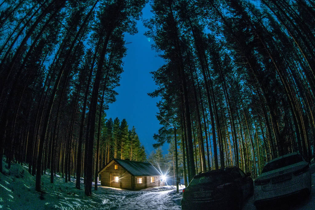 Bir çam ormanı içinde yalnız bir ev - Fotoğraf, Görsel