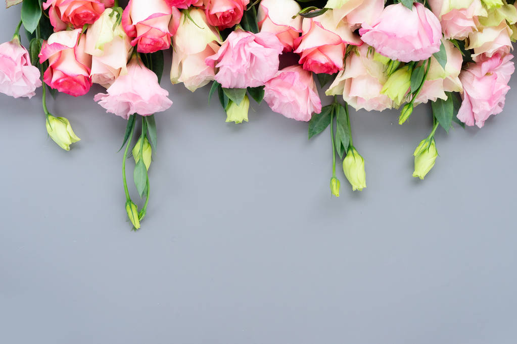 friss rózsaszirom, szürke - Fotó, kép
