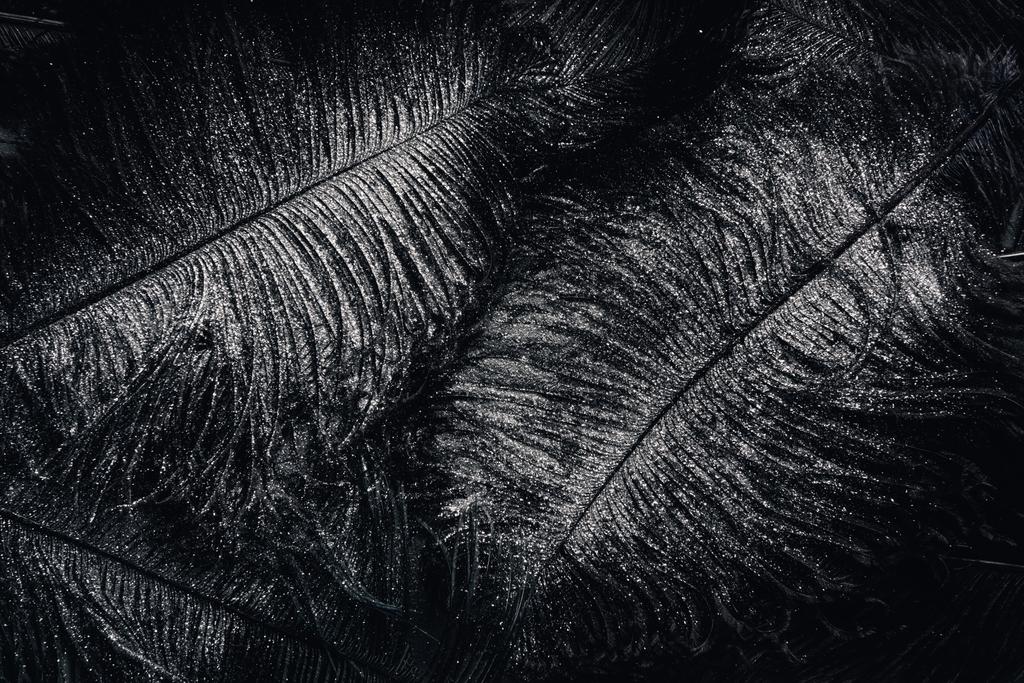 tam kare resmi siyah tüylü tarafından gümüş kaplı yüzey  - Fotoğraf, Görsel
