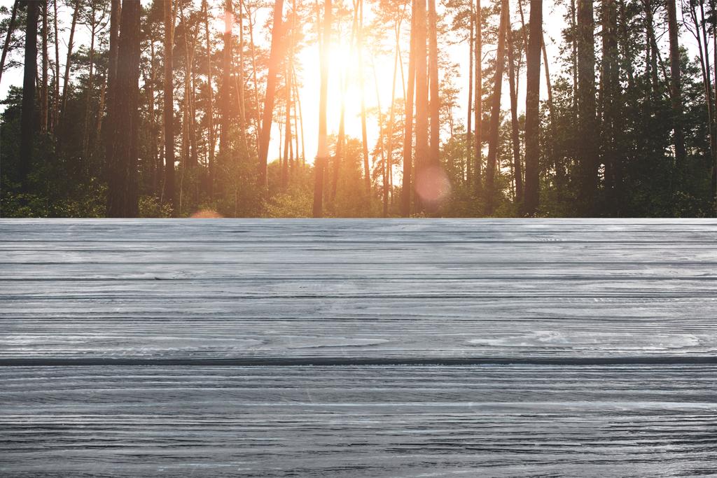 plantilla de piso de madera gris con bosque de pino sobre fondo
  - Foto, imagen