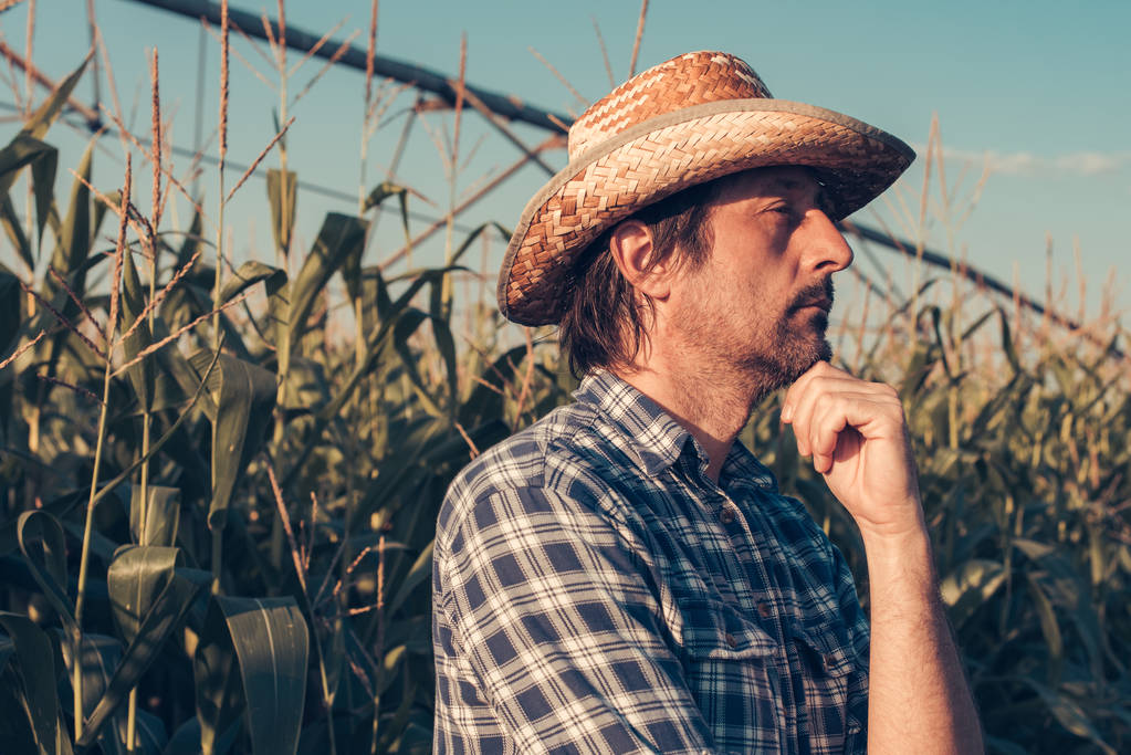 Впевнений серйозний агрономічний портрет на кукурудзяному полі, виглядає рішуче і продумано
 - Фото, зображення