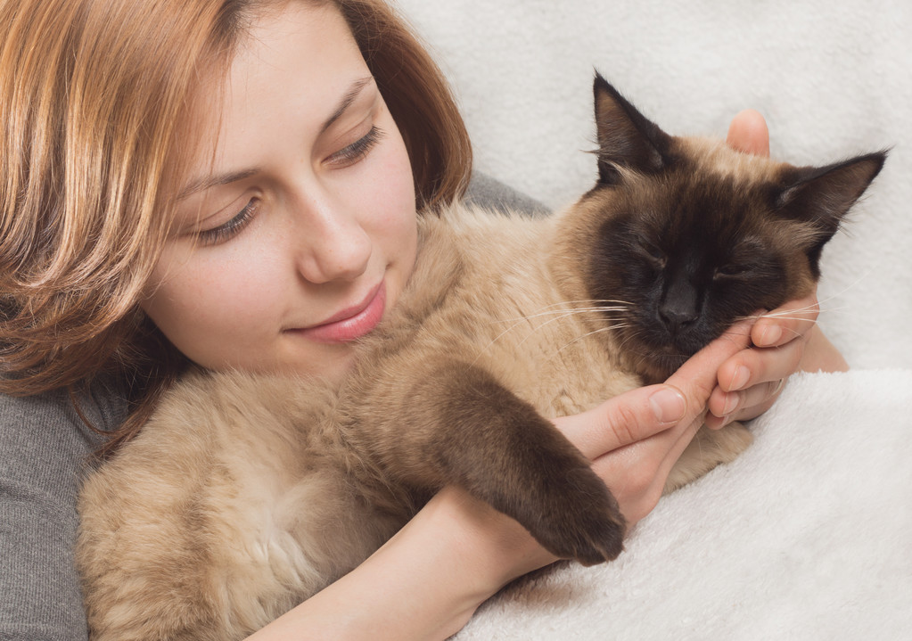 kaunis tyttö varovasti halauksia kissanpentu
 - Valokuva, kuva