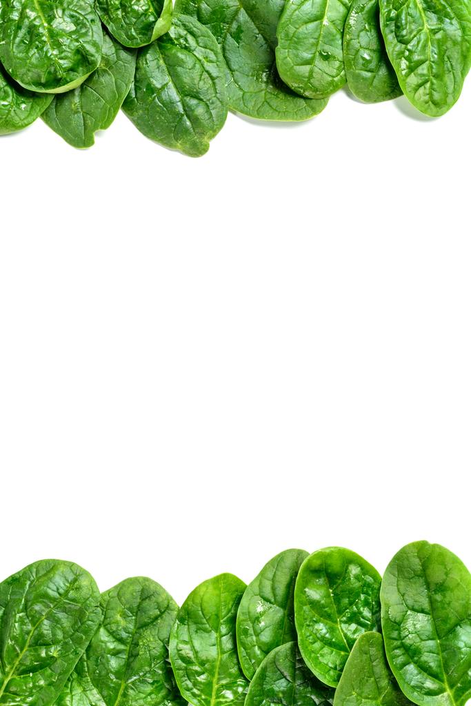 Frame van verse spinazie bladeren met waterdruppels op wit wordt geïsoleerd - Foto, afbeelding