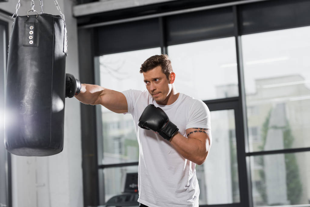 handsome muscular boxer training with punching bag in gym - Photo, Image