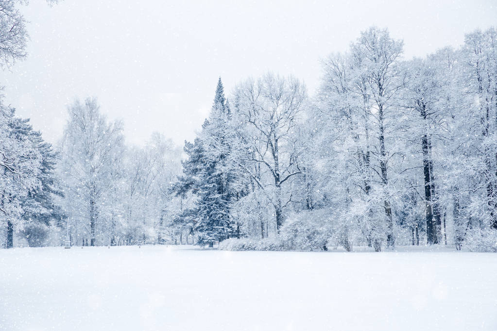 Χειμερινή χώρα των θαυμάτων σκηνή φόντο, τοπίο. Δένδρα, δάσος στο χιόνι. Χριστούγεννα, Πρωτοχρονιά χρόνο - Φωτογραφία, εικόνα