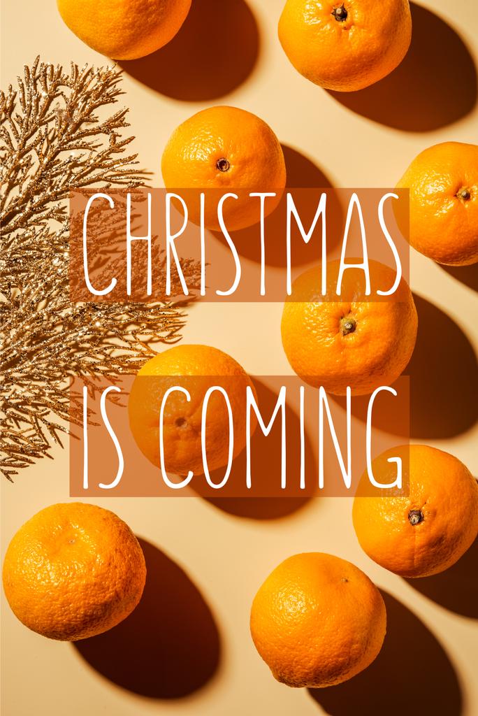 Flat lay with wholesome mandarins and decorative golden twig on beige background with "christmas is coming" lettering  - Photo, Image