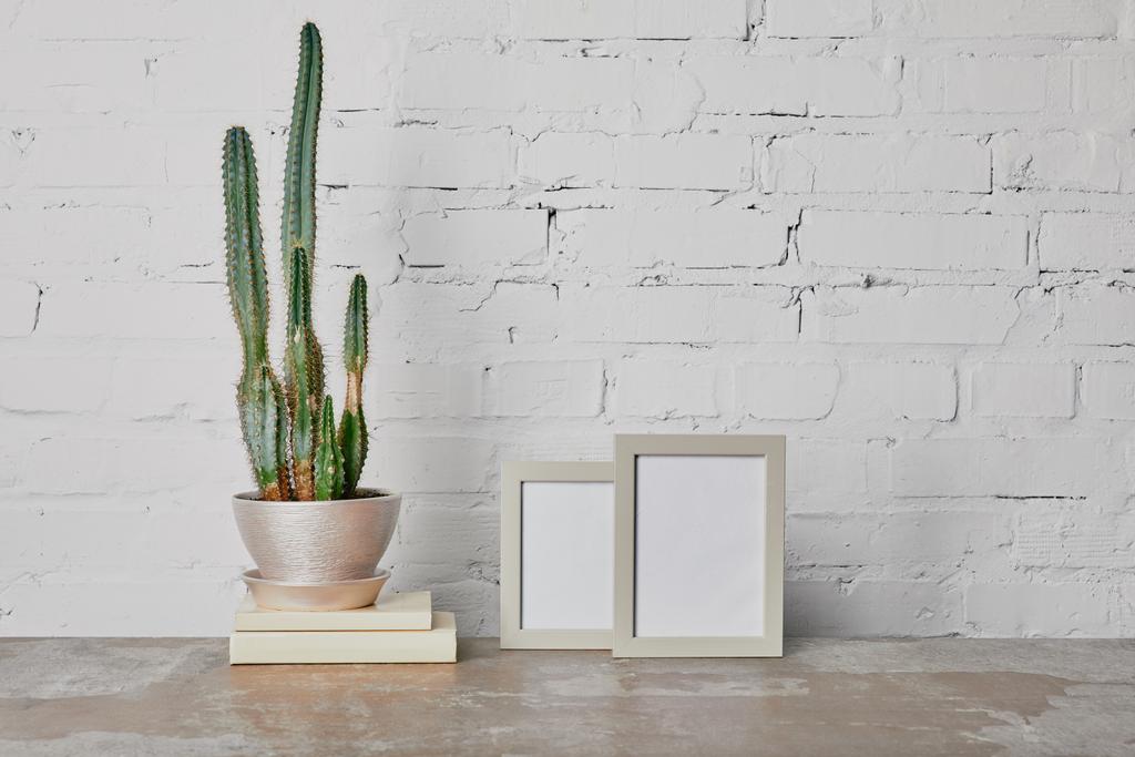 Cactus plant on books and photo frames on white brick wall background - Photo, Image