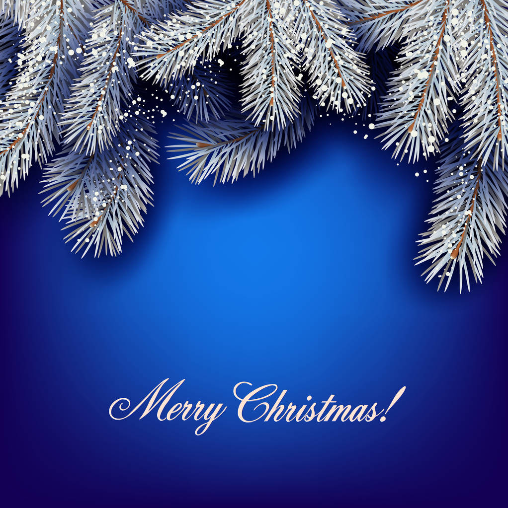 Christmas background with white fir twig. Vector - Vector, Image
