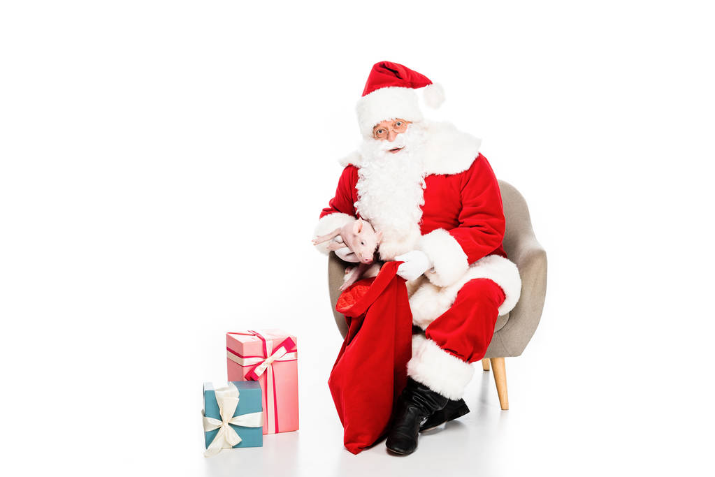 Papai Noel com presentes sentados em poltrona com porquinho isolado em branco
 - Foto, Imagem