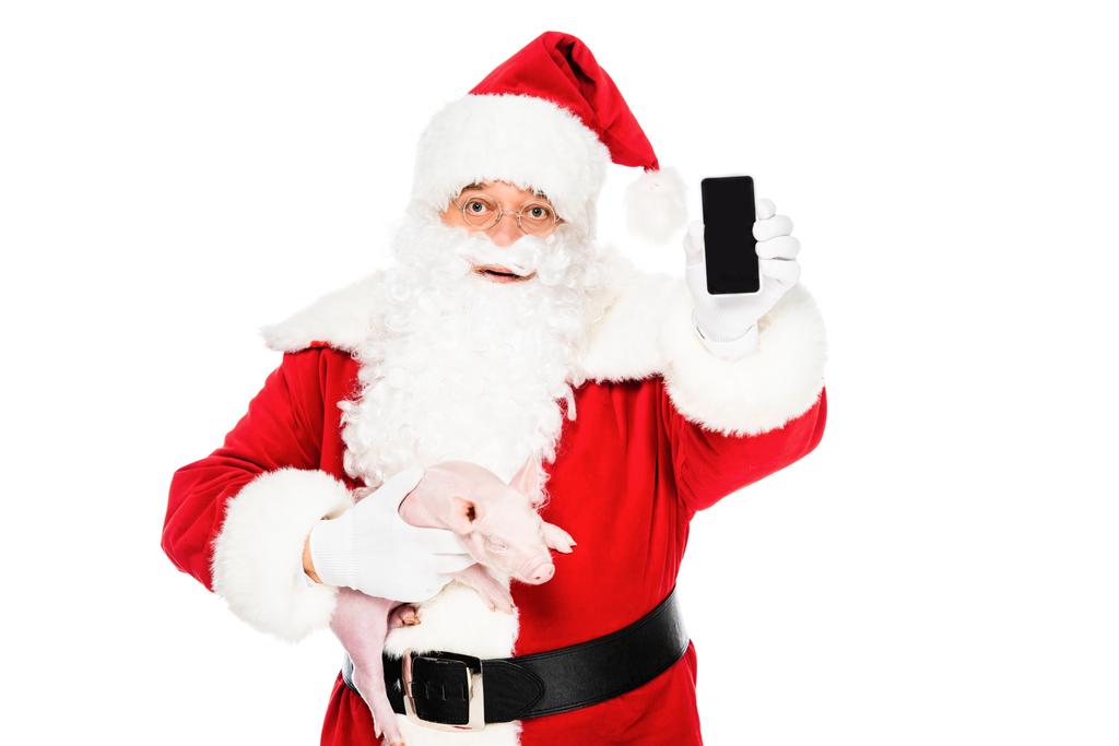 Weihnachtsmann hält Schweinchen in der Hand und zeigt Smartphone mit leerem Bildschirm vor Kamera isoliert auf Weiß - Foto, Bild
