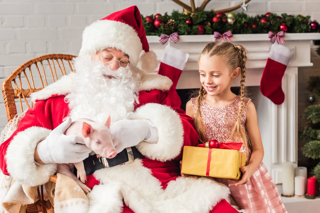 Noel Baba domuz ve gülümseyen sevimli hediye kutusu holding ile oynama  - Fotoğraf, Görsel