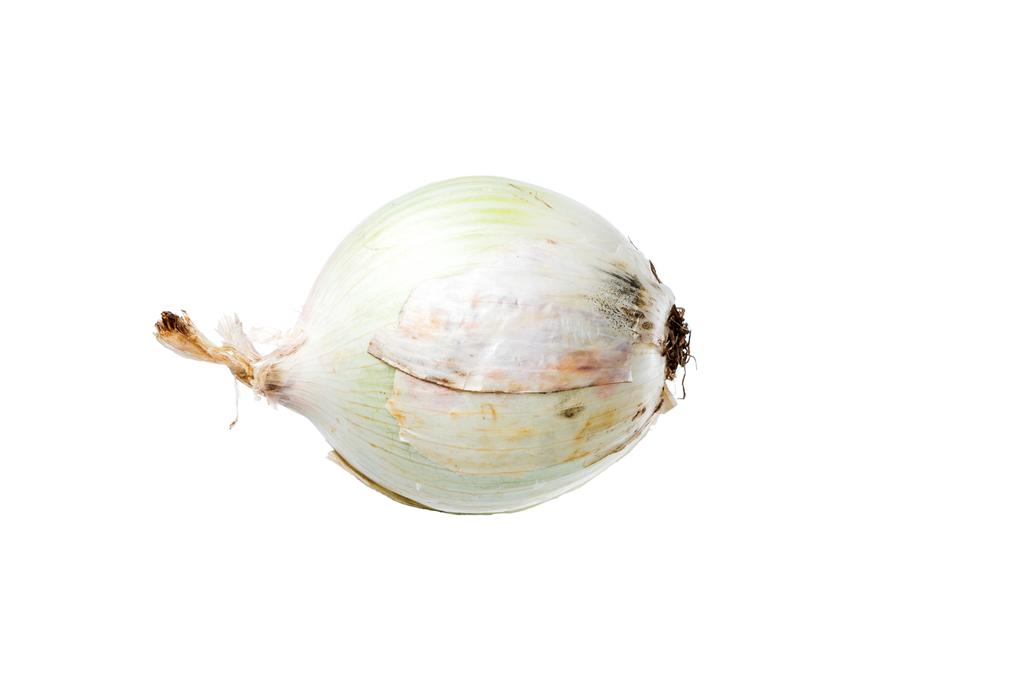 close-up view of raw single whole onion isolated on white  - Photo, Image