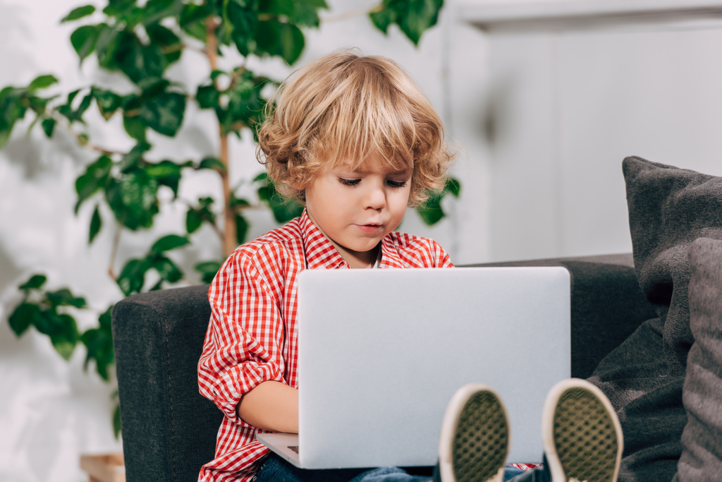 сфокусированный маленький ребенок использует ноутбук на диване дома
 - Фото, изображение