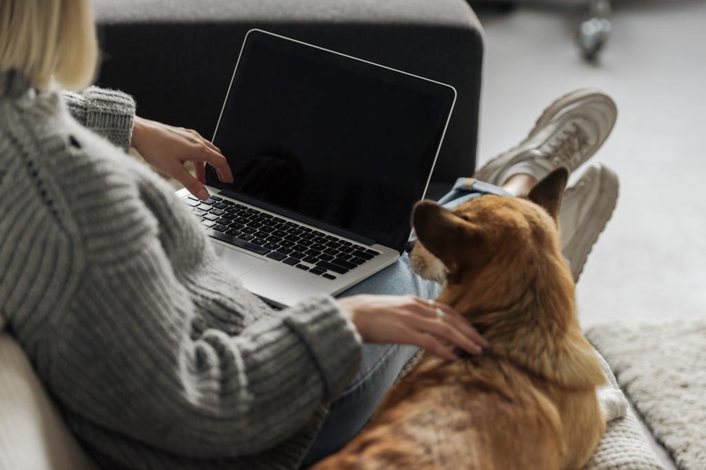 обрізаний знімок жінки, що працює з ноутбуком вдома, а її коргі собака лежить поруч
 - Фото, зображення