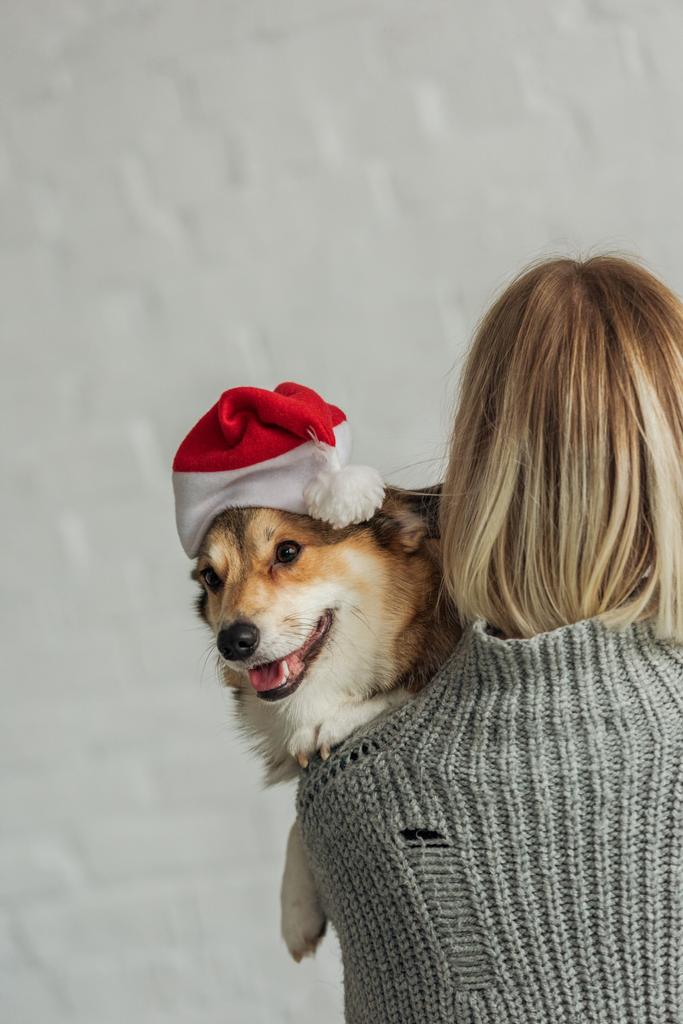 rear view of woman carrying cute corgi dog in santa hat - Photo, Image