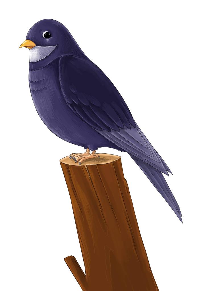 personaje animal de cuento de hadas de dibujos animados - pájaro cuco sentado - ilustración para niños
 - Foto, imagen