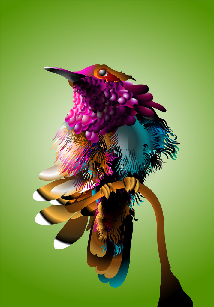 illustration vectorielle d'un oiseau - Vecteur, image