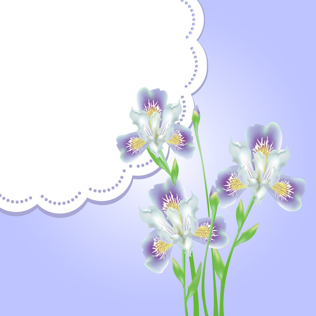Flores de primavera con marco de encaje
 - Vector, Imagen