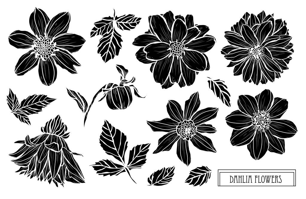 Decorative dahlia flowers set, design elements. Can be used for cards, invitations, banners, posters, print design. Floral background in line art style - Vector, Image