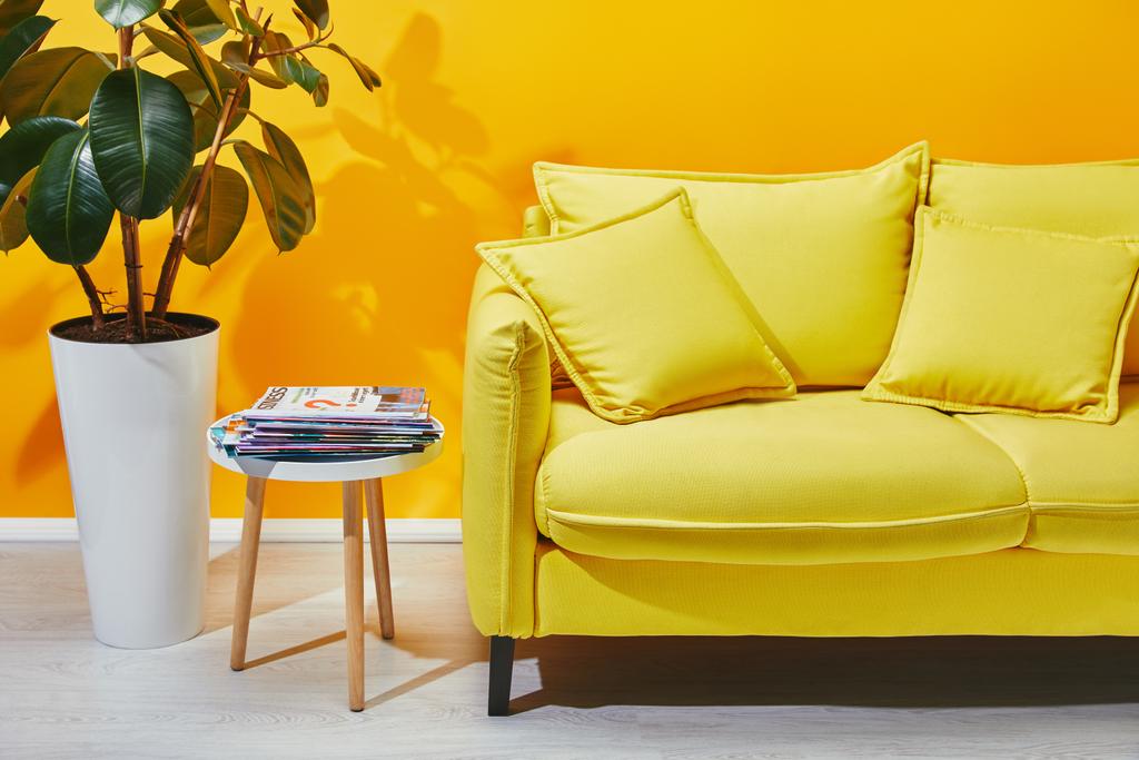 Sofa z poduszkami, houseplant i mały stolik z czasopism w pobliżu ściana żółty - Zdjęcie, obraz