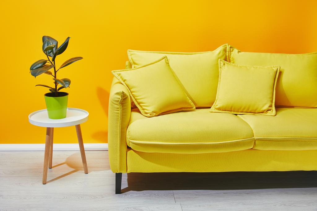 Sofá planta verde en la mesa de café cerca de la pared amarilla
 - Foto, Imagen