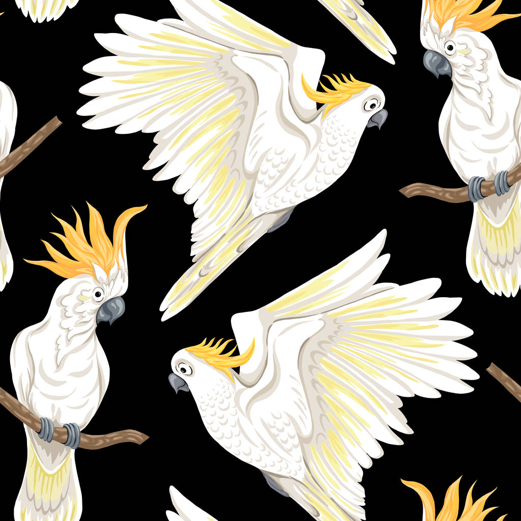 Бесшовный рисунок, фон с тропическими птицами. Белая цапля, попугай какаду. Цветной и контур дизайн на синем фоне. Векторная иллюстрация. Изолированный на черном фоне
 - Вектор,изображение
