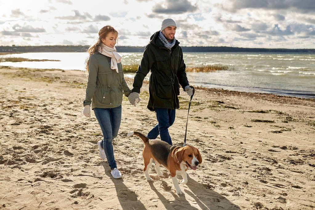 coppia felice con cane beagle sulla spiaggia autunnale
 - Foto, immagini