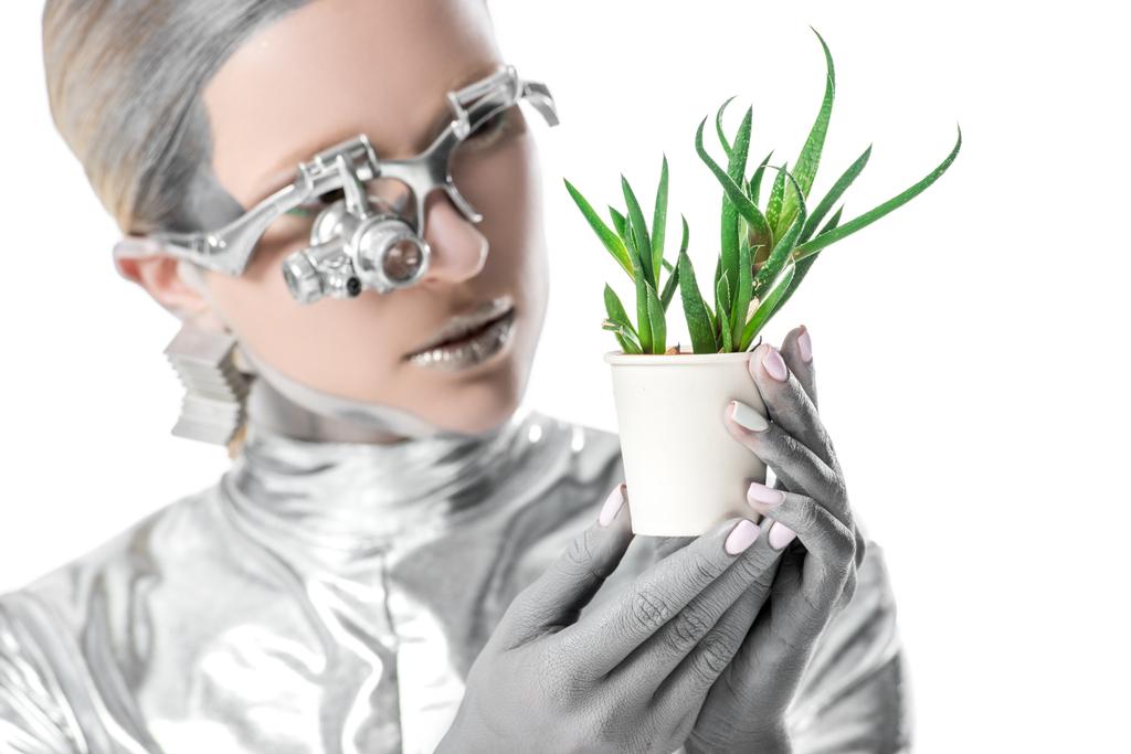 Porträt eines silbernen Roboters, der Topfpflanze isoliert auf weißem, zukünftigem Technologiekonzept betrachtet - Foto, Bild