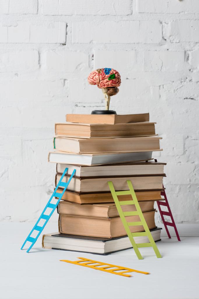 εγκεφάλου μοντέλο στο σωρό των βιβλίων και μικρά πολύχρωμα σκάλες - Φωτογραφία, εικόνα