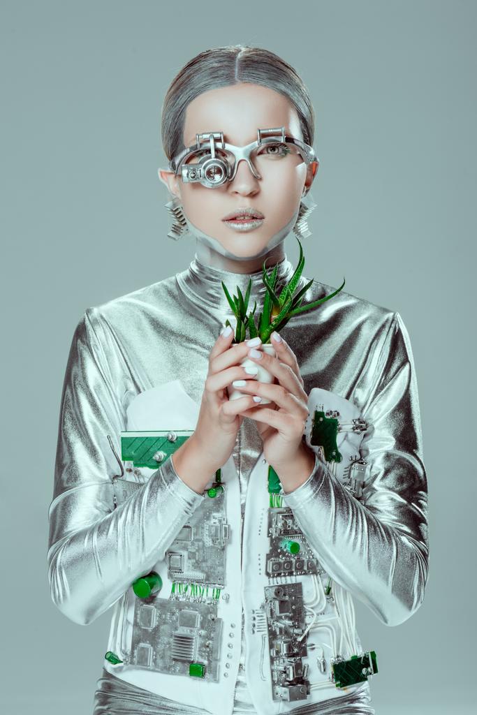 silver robot holding potted plant and looking at camera isolated on grey, future technology concept - Photo, Image
