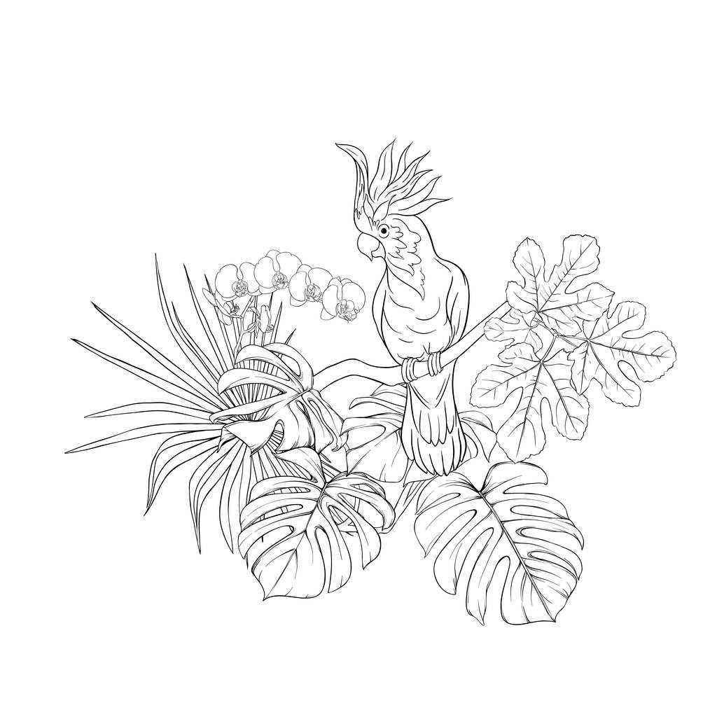 eine Komposition aus tropischen Pflanzen, Palmblättern, Monstern und weißen Orchideen mit Kakadu-Papagei im botanischen Stil. Umriss Hand Zeichnung Vektor Illustration. isoliert auf weißem Hintergrund. - Vektor, Bild