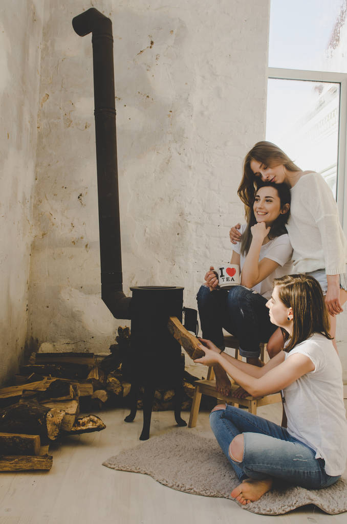 Gruppe junger Frauen hat Spaß im skandinavischen Winterzimmer - Foto, Bild