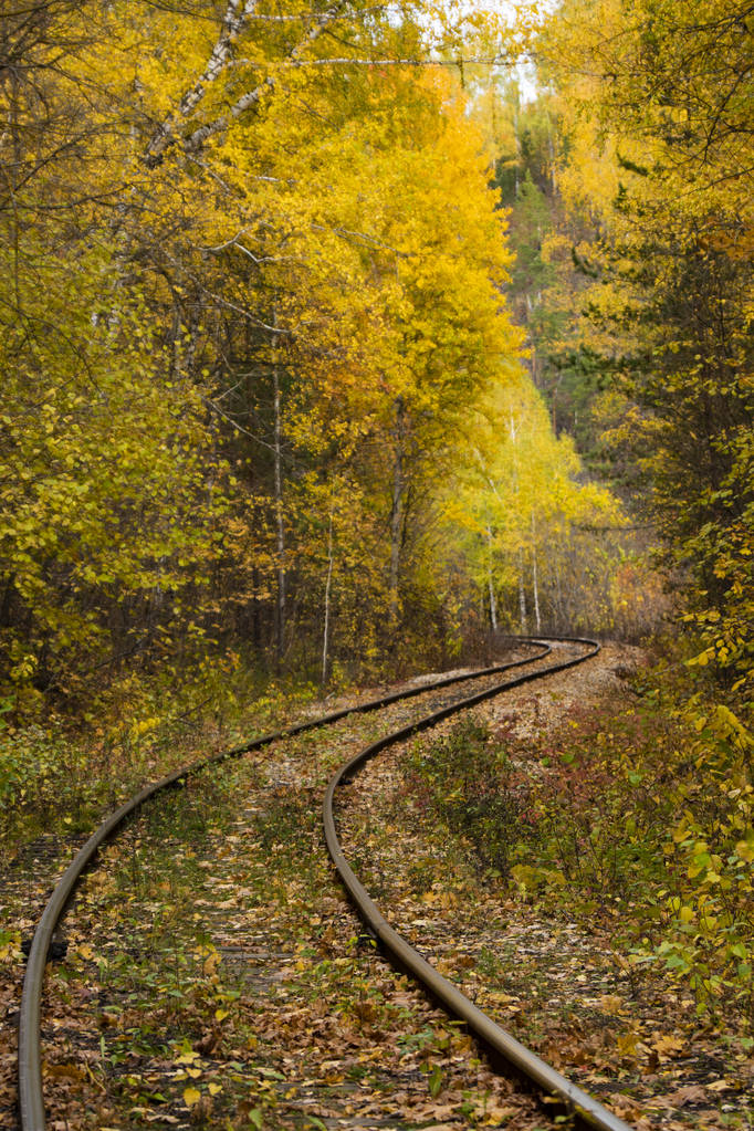 tie, joka menee Golden syksyllä
 - Valokuva, kuva