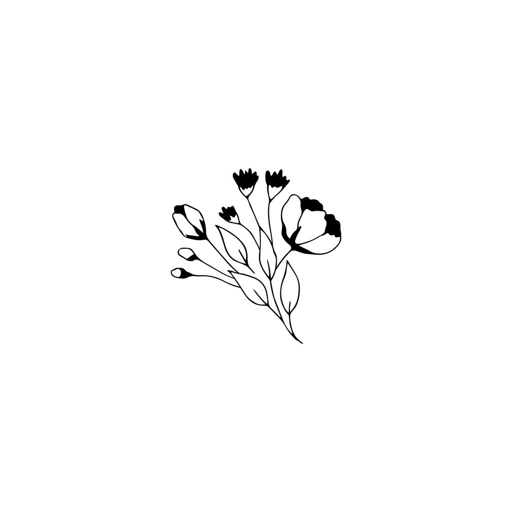 Ramo floral dibujado a mano
 - Vector, Imagen