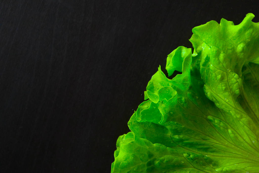 Hoja de ensalada fresca con gotas de agua, vista macro sobre una mesa negra. Fondo de hojas de ensalada verde
. - Foto, imagen