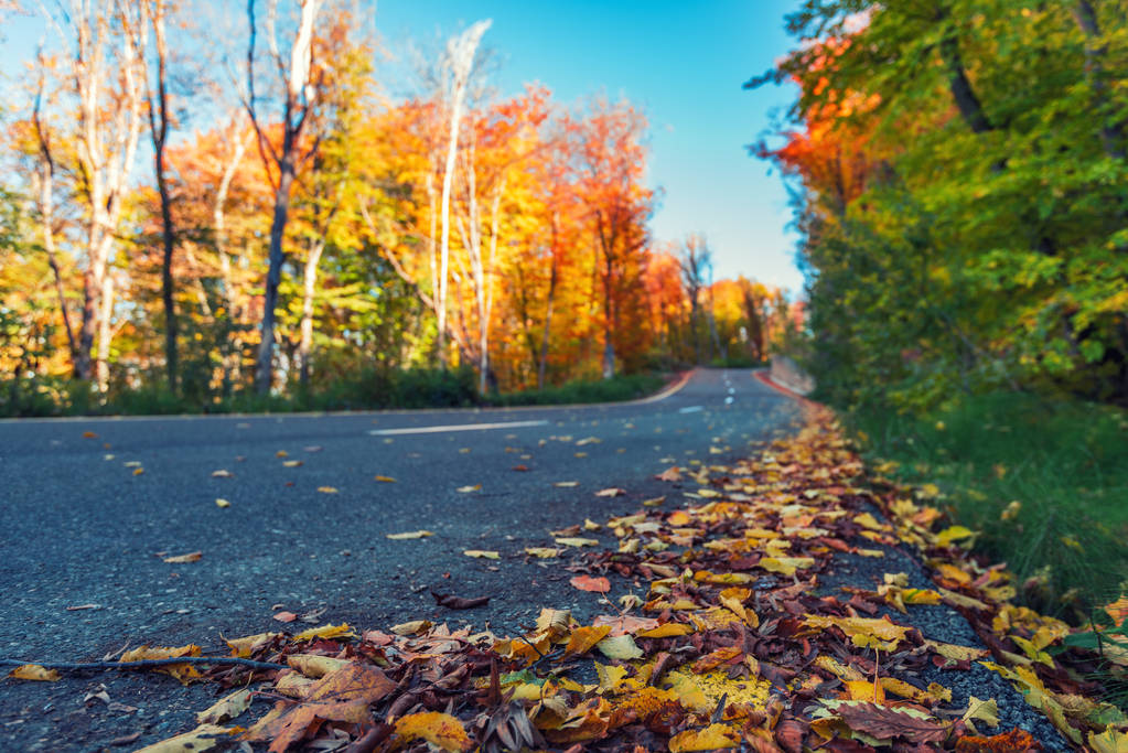 Autostrady w kolorowe jesień las góry - Zdjęcie, obraz