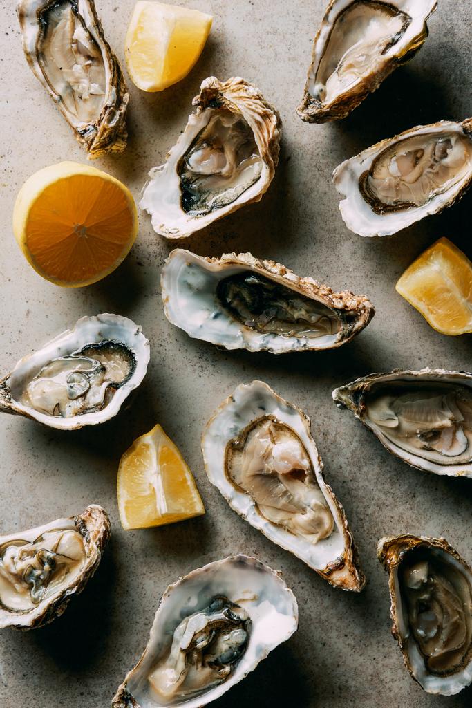 flat lay with arranged lemon pieces and oysters on grey surface - Photo, Image