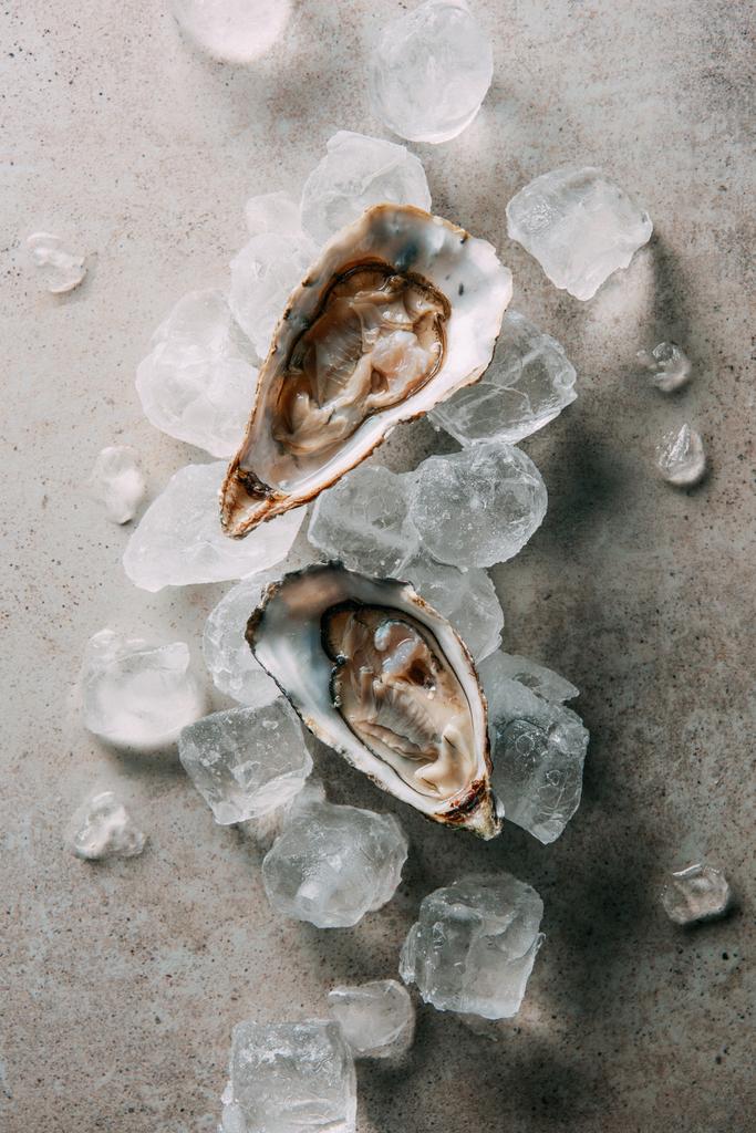 bovenaanzicht van oesters en ijsblokjes op grijs tafelblad - Foto, afbeelding