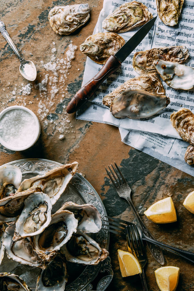 top view of arrangement of oysters, salt and lemon pieces on grungy tabletop - Photo, Image