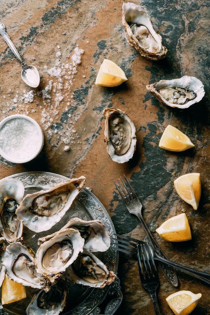 汚れた卓上に塩、牡蠣とレモンの部分の配置のトップ ビュー - 写真・画像