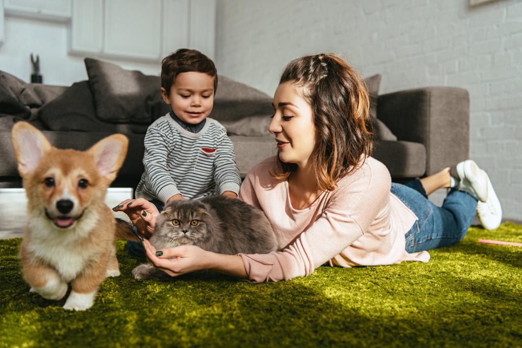 attractive woman and little boy laying on floor with dog and cat in living room at home - Photo, Image