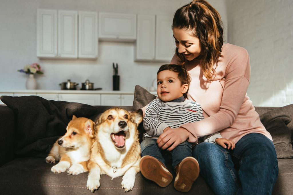 happy mother and son sitting on sofa with welsh corgi dogs at home - Photo, Image