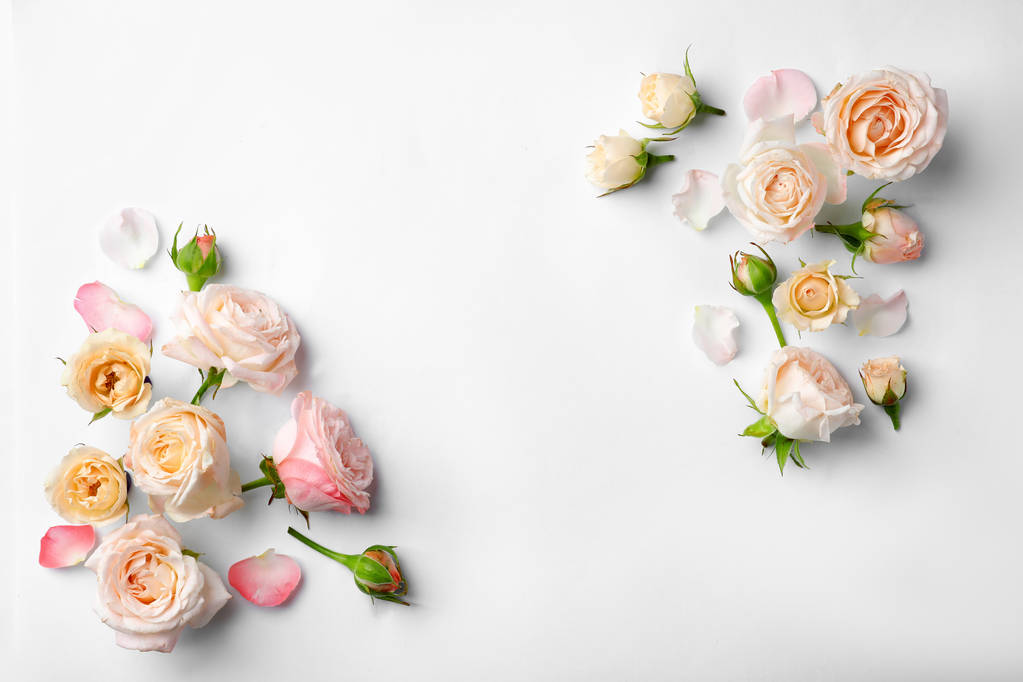 Плоская композиция с красивыми розами и пространством для текста на белом фоне
 - Фото, изображение