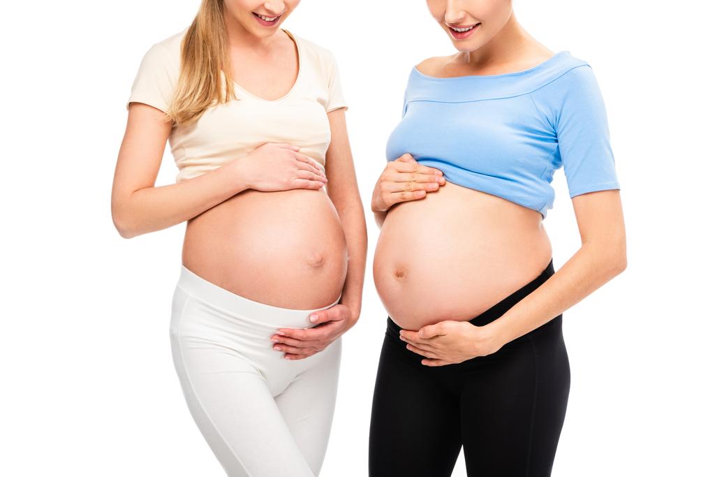 腹白で隔離を示す 2 つの妊娠中の女性のトリミング ビュー - 写真・画像