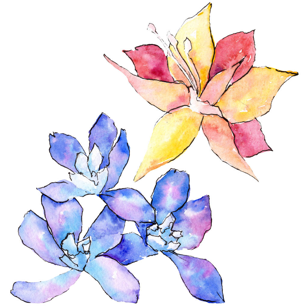 Flores de orquídeas roxas e amarelas. Isolado elemento ilustração. ilustração fundo aquarela. Flores aquarelle desenhadas à mão
. - Foto, Imagem