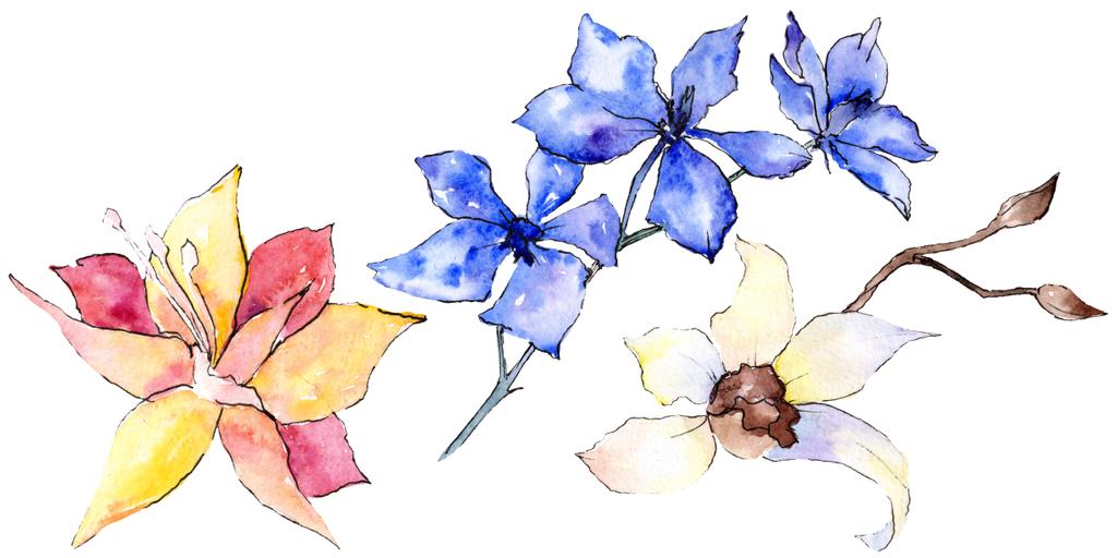 Lila, sárga és fehér orchidea virágok elszigetelt fehér. Akvarell háttér illusztráció. Kézzel rajzolt aquarelle virágok. - Fotó, kép