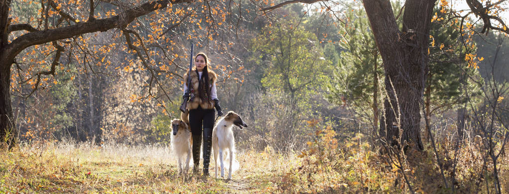Güzel bir kız - bir avcı köpekler, Rus tazı ile portresi - Fotoğraf, Görsel
